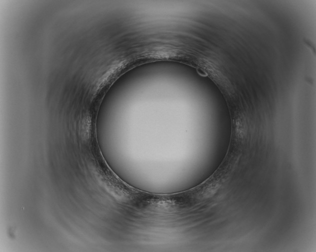 X0000102360304200808081136