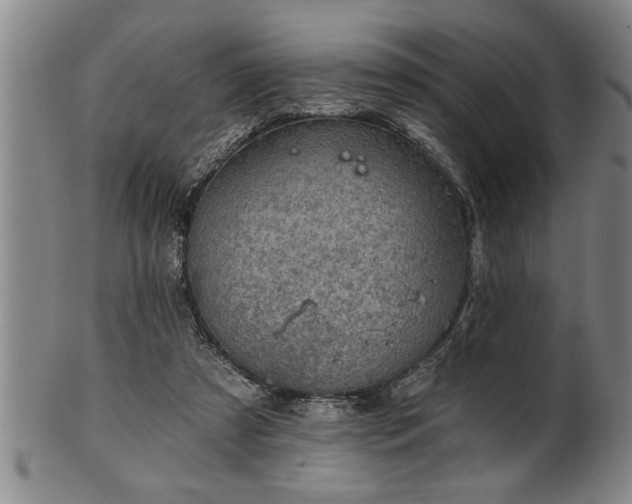 X0000102360305200808081136