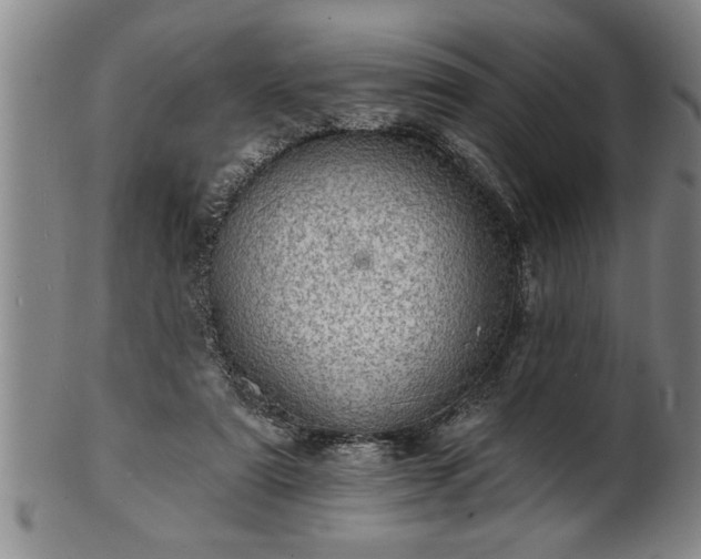 X0000102360307200808081136