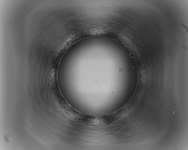 X0000102360308200808081136