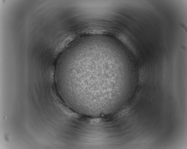 X0000102360309200808081136