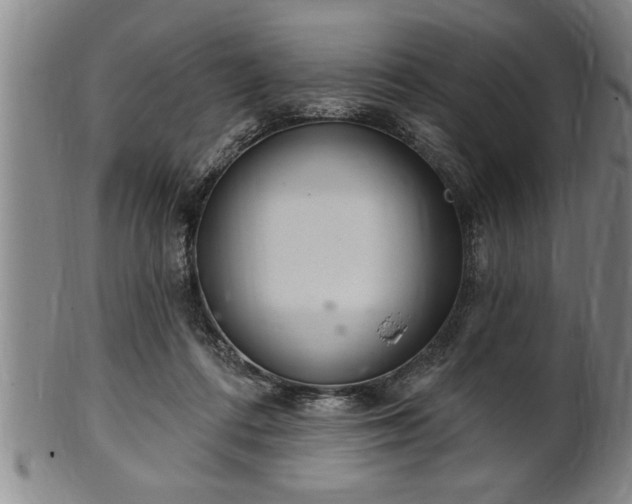 X0000102360312200808081136