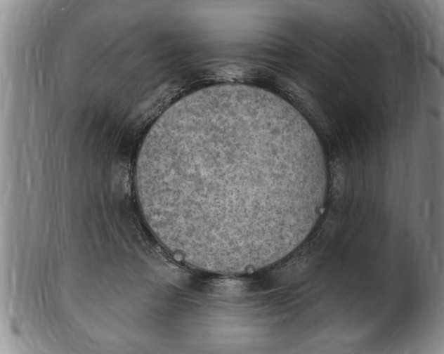 X0000102360313200808081136