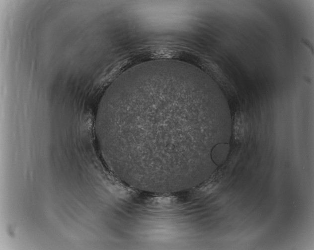 X0000102360314200808081136