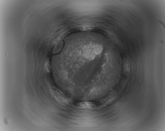 X0000102360316200808081136