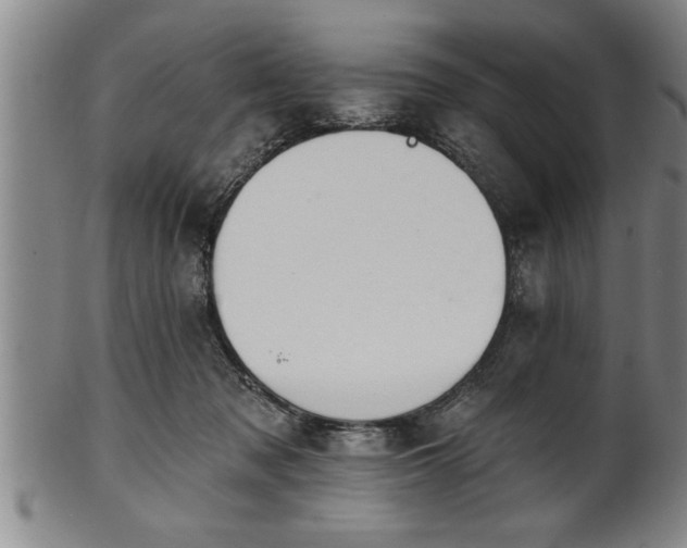 X0000102360317200808081136