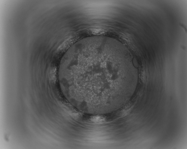 X0000102360319200808081136