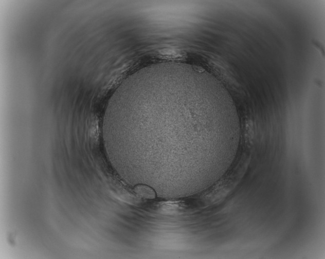 X0000102360320200808081136