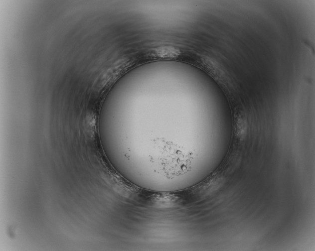 X0000102360321200808081136