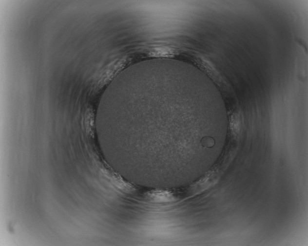 X0000102360322200808081136