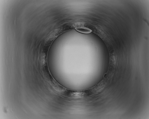 X0000102360323200808081136