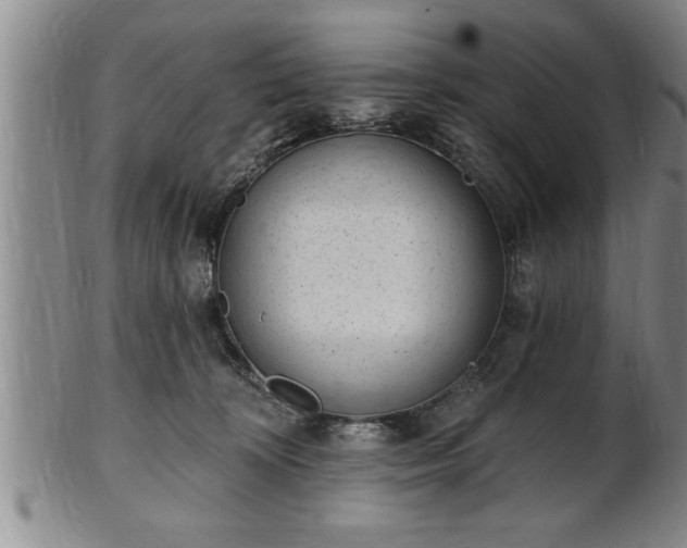 X0000102360324200808081136