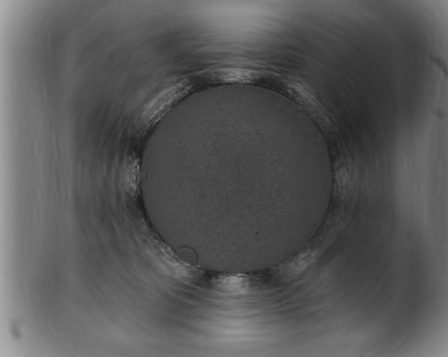 X0000102360325200808081136