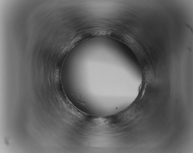 X0000102360326200808081136