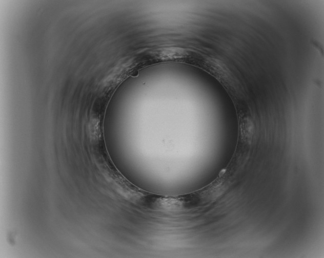 X0000102360327200808081136