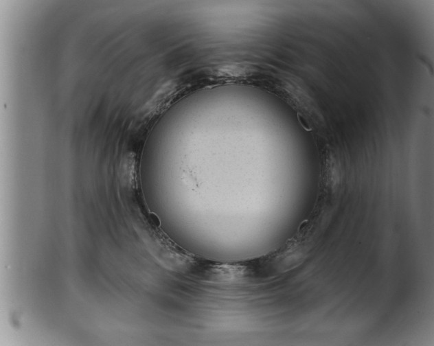 X0000102360328200808081136