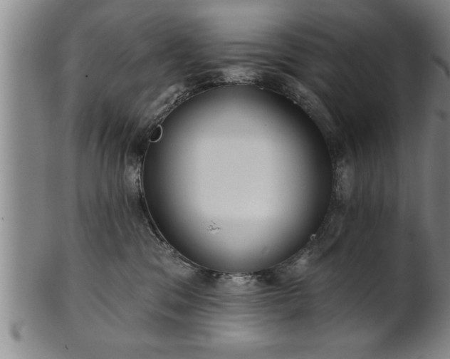 X0000102360329200808081136