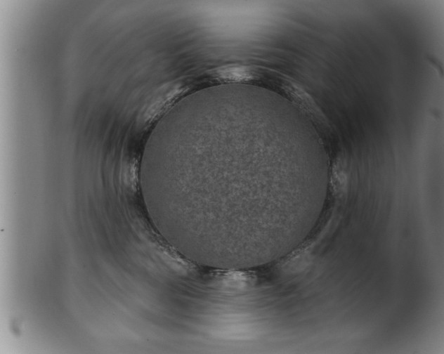 X0000102360330200808081136