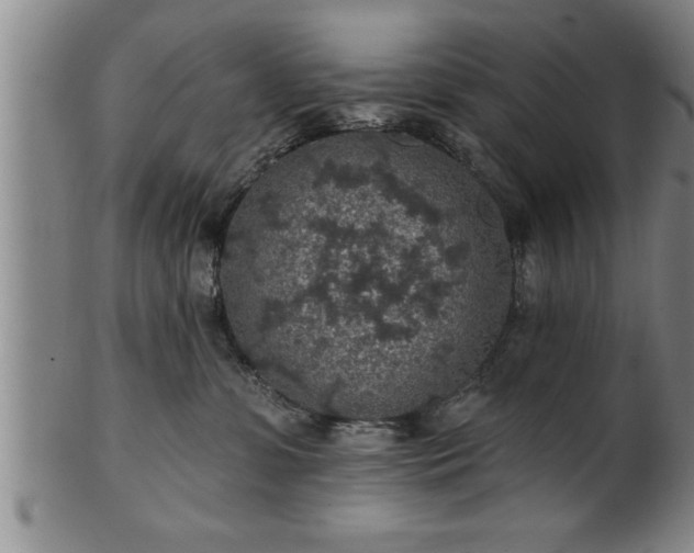 X0000102360331200808081136