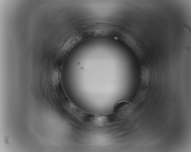 X0000102360333200808081136