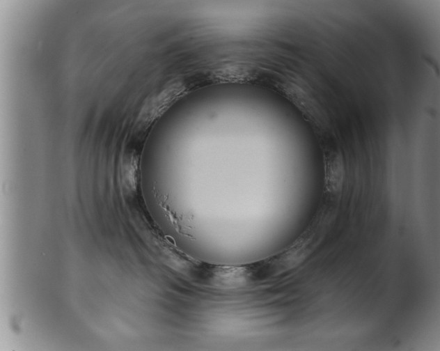 X0000102360334200808081136