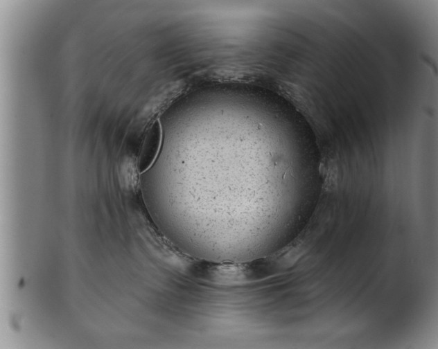 X0000102360335200808081136