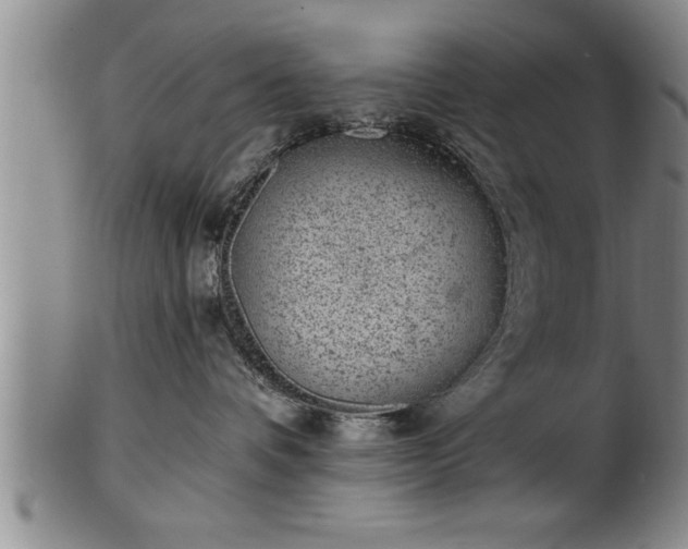 X0000102360336200808081136