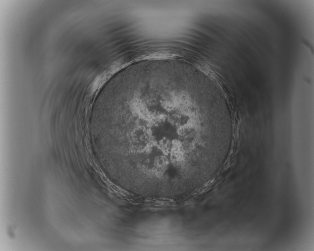 X0000102360337200808081135