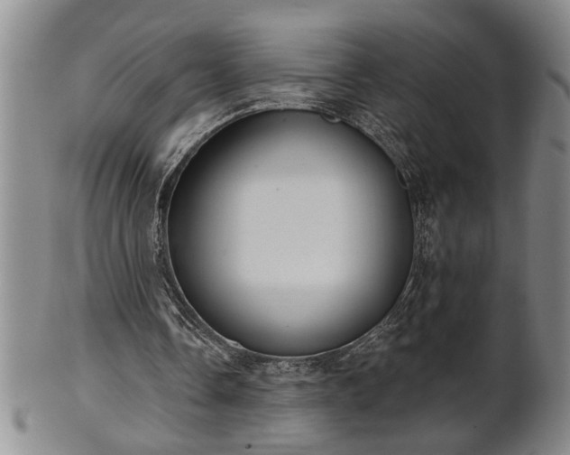 X0000102360338200808081135