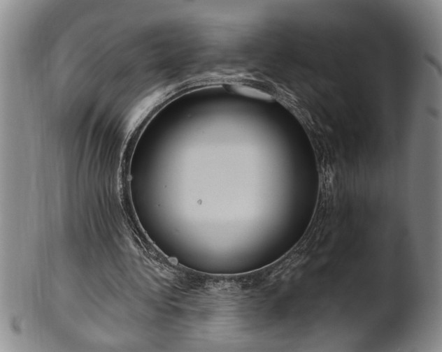 X0000102360340200808081135