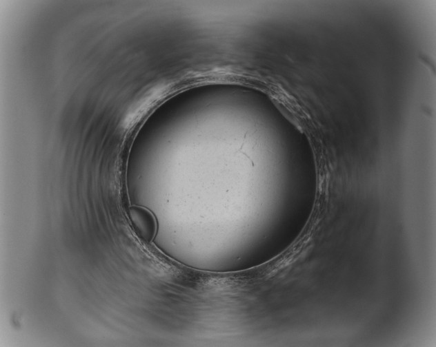 X0000102360341200808081135