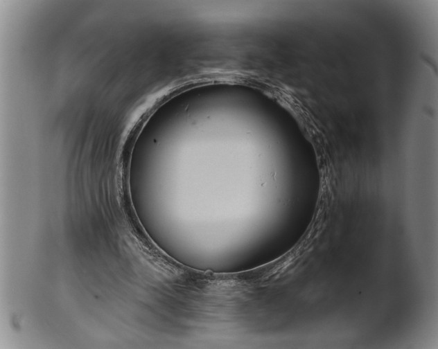 X0000102360342200808081135