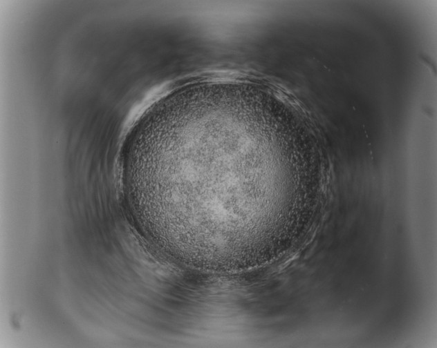 X0000102360343200808081135