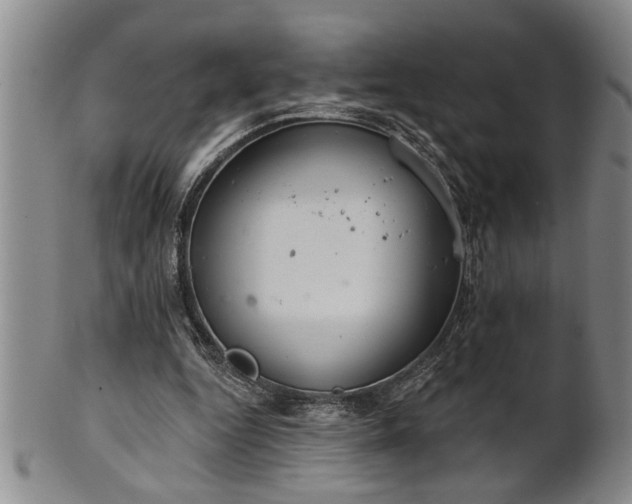 X0000102360344200808081135