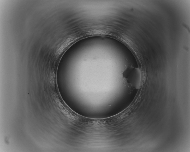 X0000102360345200808081135