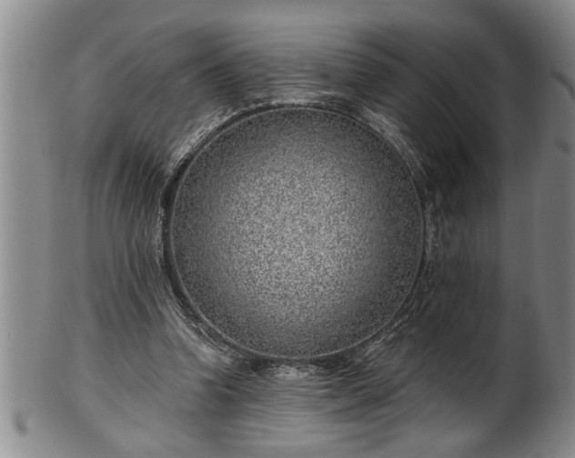 X0000102360346200808081135