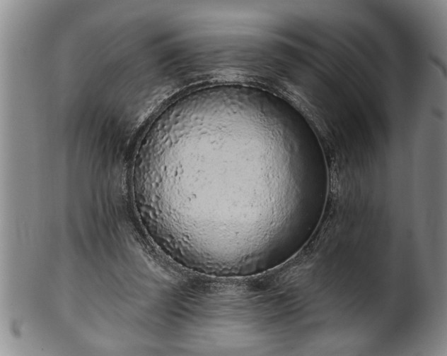 X0000102360347200808081135