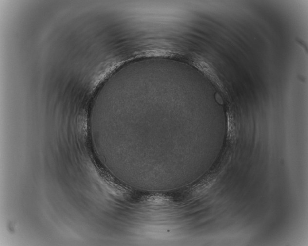 X0000102360348200808081135