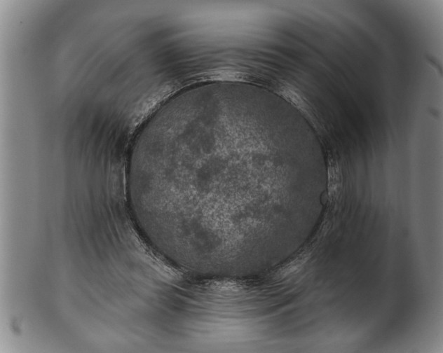 X0000102360349200808081135