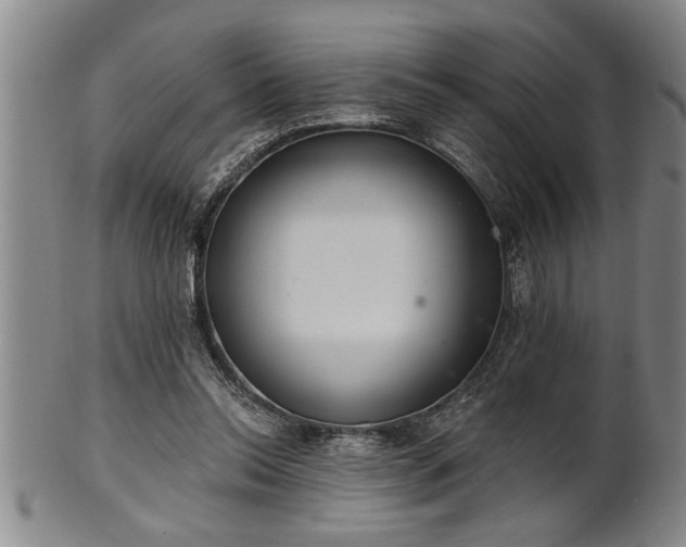 X0000102360350200808081135