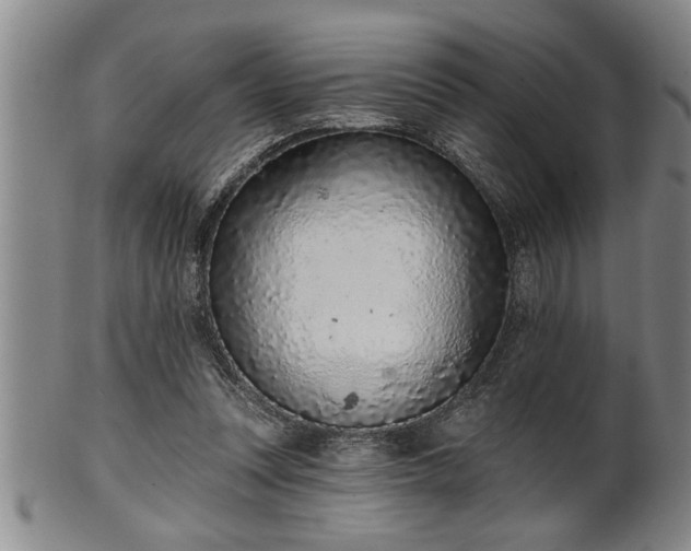 X0000102360351200808081135