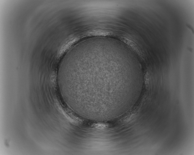 X0000102360352200808081135