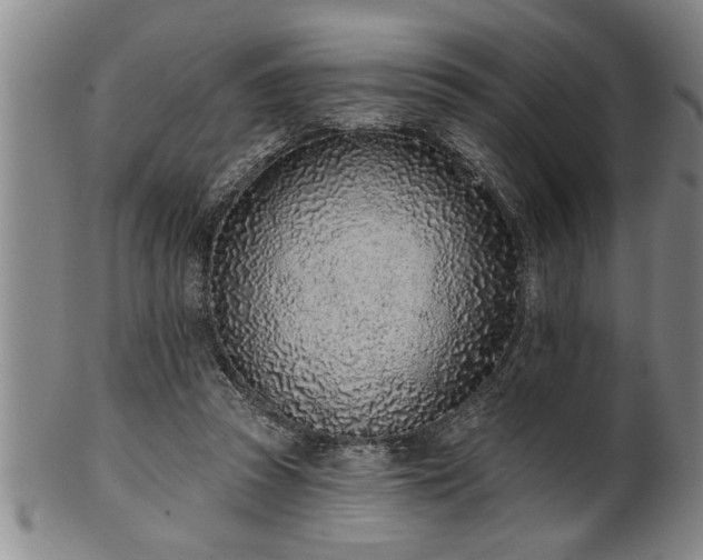 X0000102360353200808081135