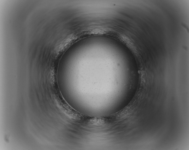 X0000102360354200808081135