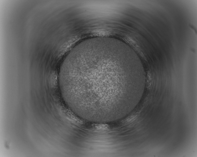 X0000102360355200808081135