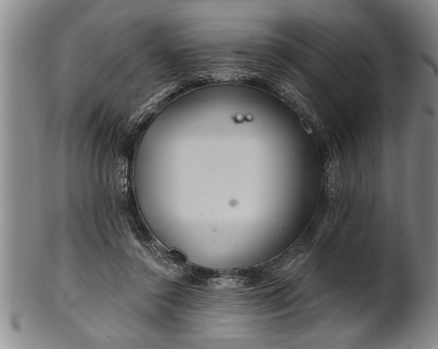 X0000102360356200808081135