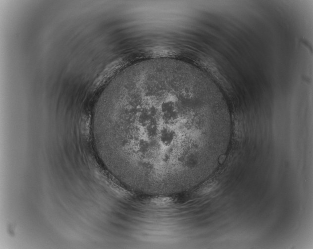 X0000102360357200808081135