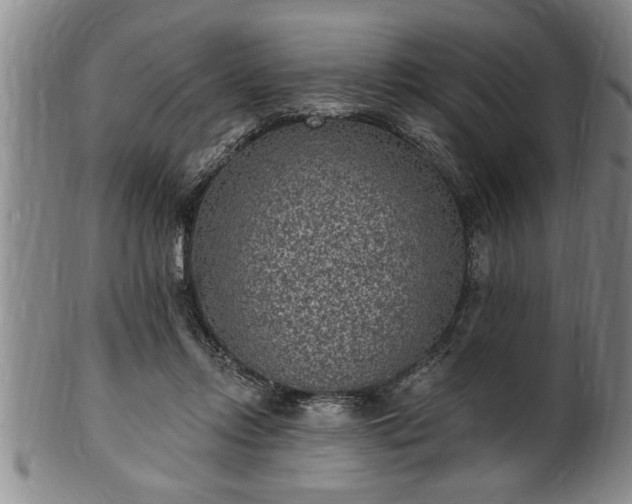 X0000102360358200808081135