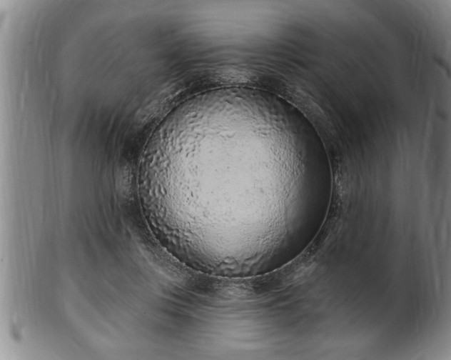 X0000102360359200808081135