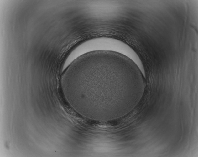 X0000102360360200808081135